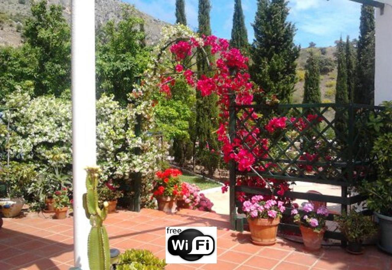 Finca Santa Matilde マラガ エクステリア 写真