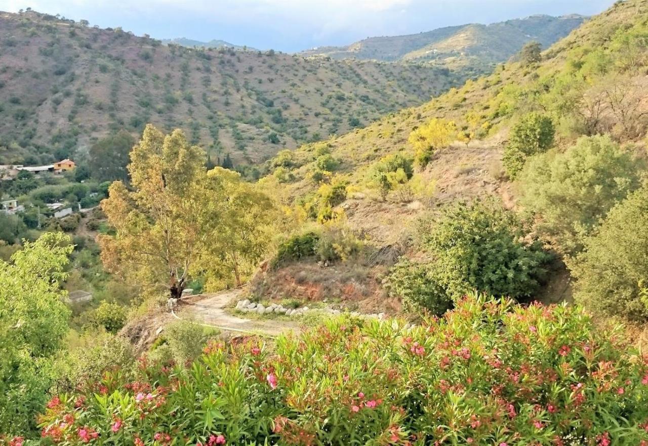 Finca Santa Matilde マラガ エクステリア 写真