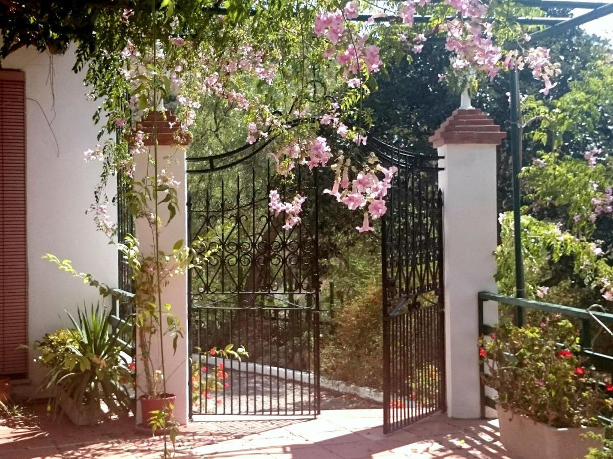 Finca Santa Matilde マラガ エクステリア 写真